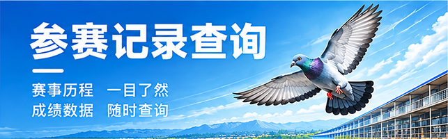 参赛记录查询