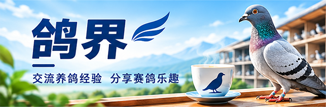 鸽界