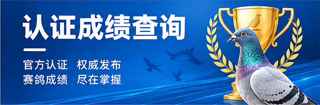 认证成绩查询