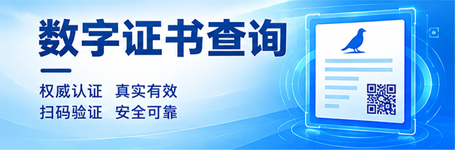 数字证书查询