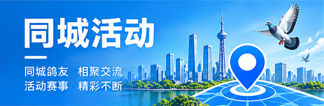 同城活动