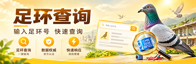 足环查询