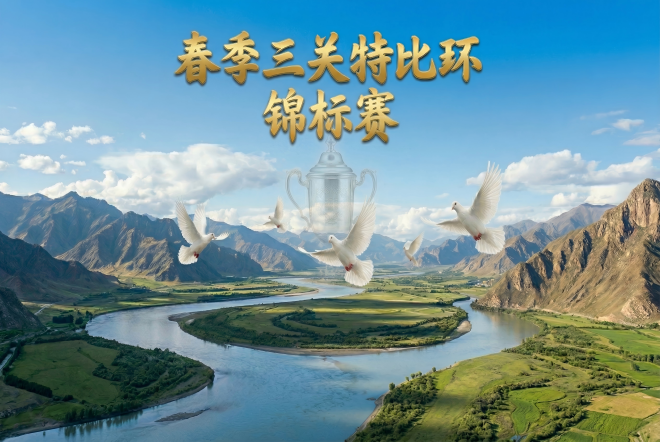 成都市春季三关特比环“锦标赛”