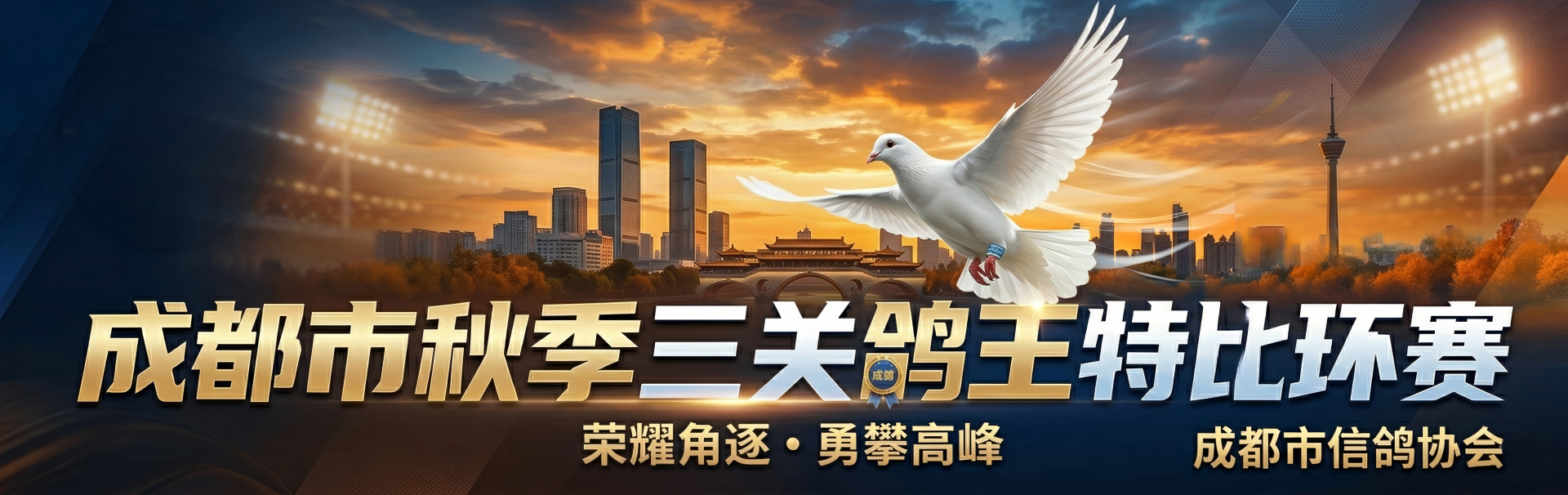 成都市秋季三关鸽王特比环赛