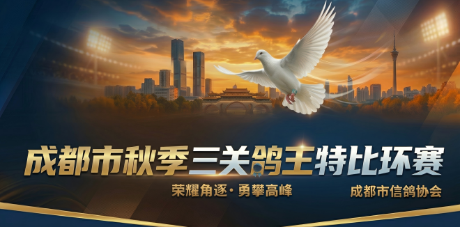 成都市秋季三关鸽王特比环赛