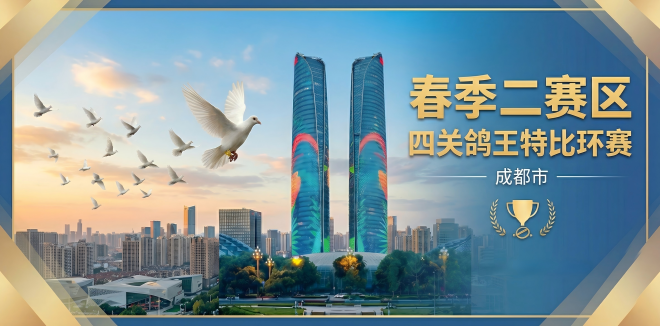 成都市春季二赛区四关鸽王特比环赛