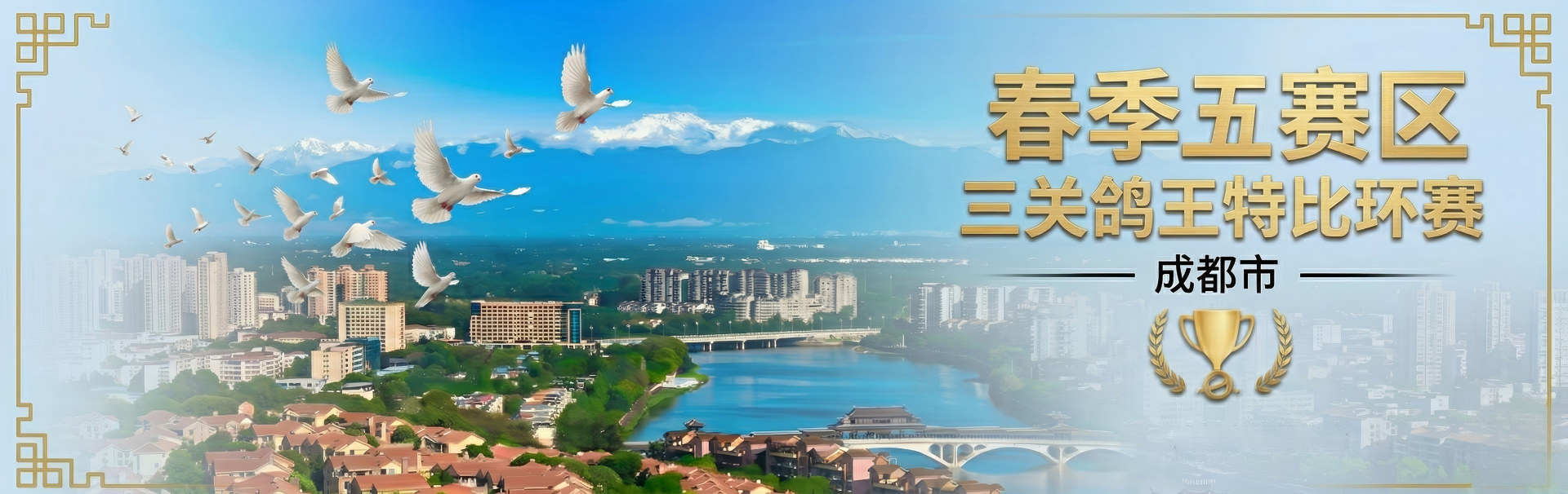 成都市春季五赛区三关鸽王特比环赛