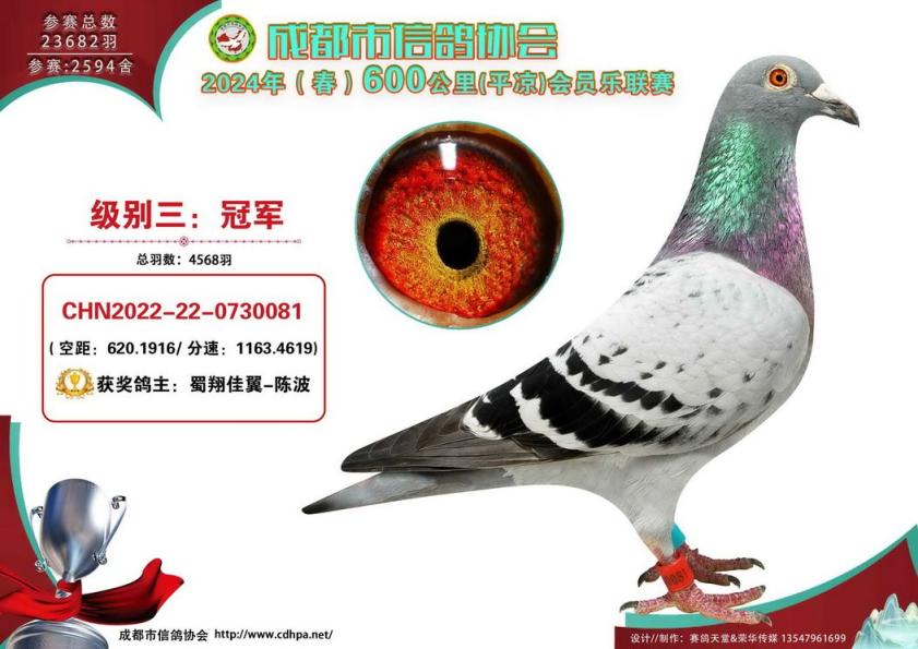 成都市2024年春600公里平凉联赛级别3前十名照片