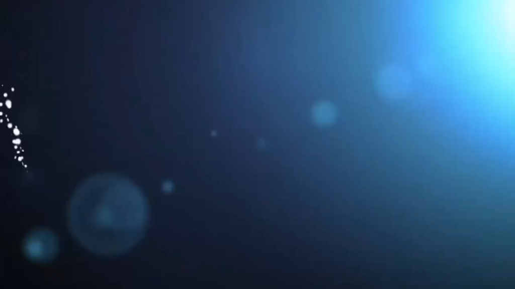 成都市信鸽协会2025年春季拍卖会