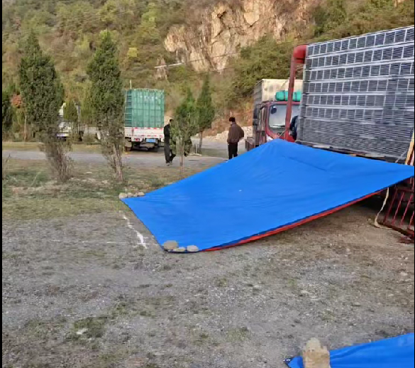 训放视频测试二