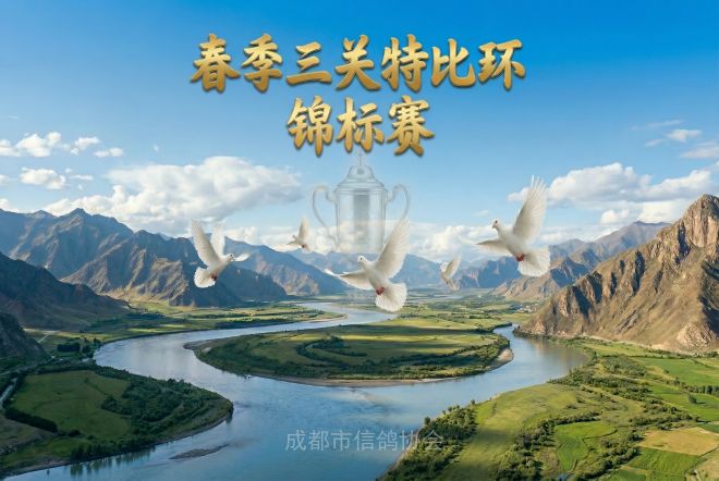 成都市春季三关特比环“锦标赛”