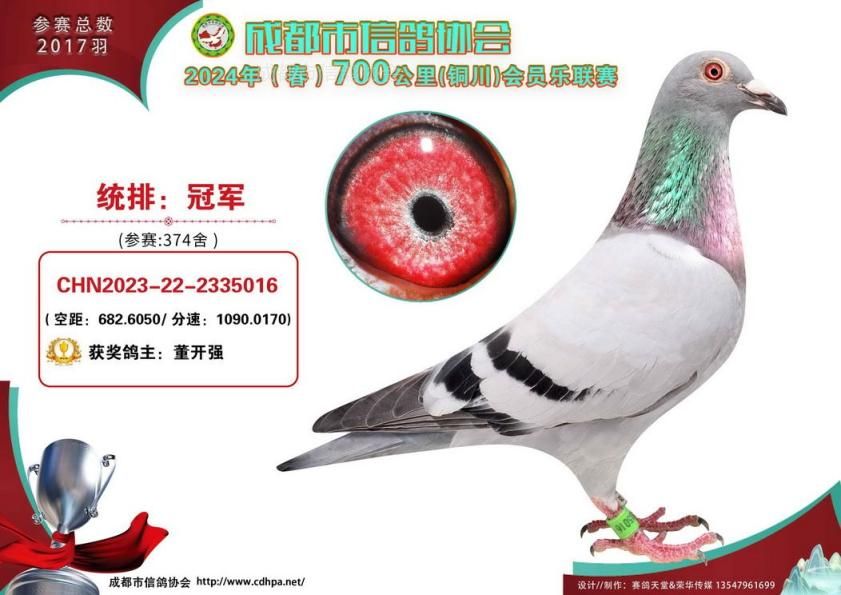  24年春成都市会员乐700公里铜川站前十名获奖鸽照片 