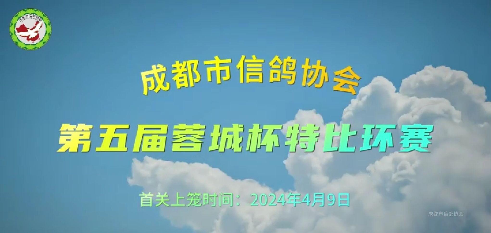   成都市信鸽协会第五届“蓉城杯”特比环赛首关  