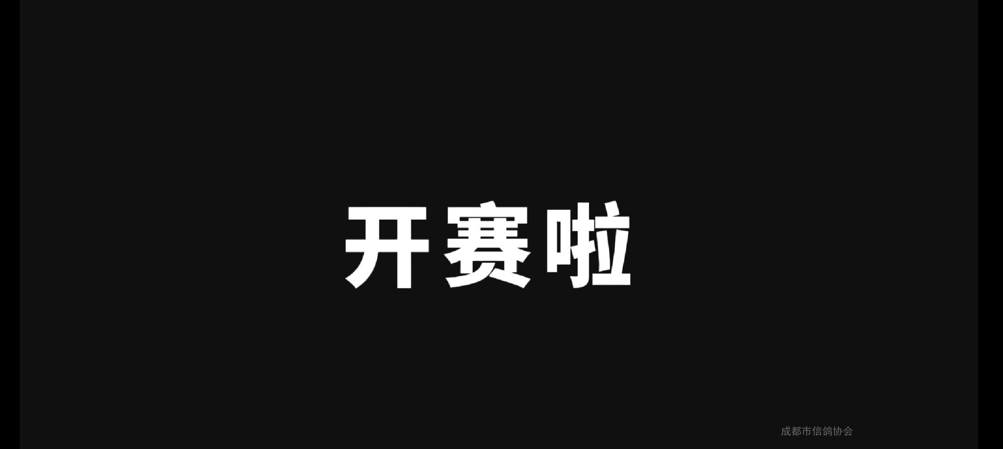  成都市信鸽协会24春平凉联赛 