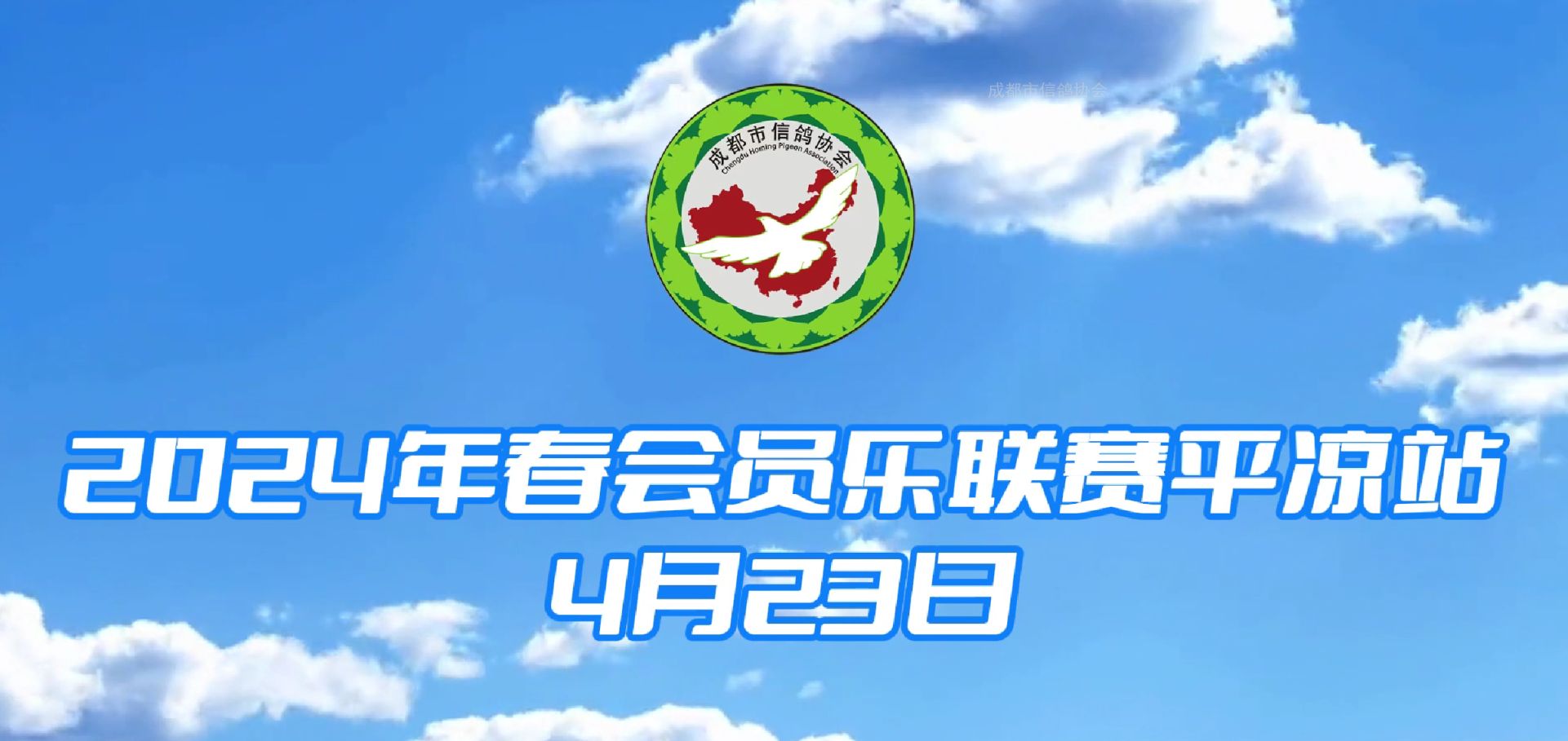   成都市信鸽协会24春会员乐联赛平凉站  