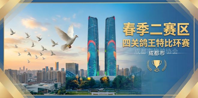 成都市春季二赛区四关鸽王特比环赛