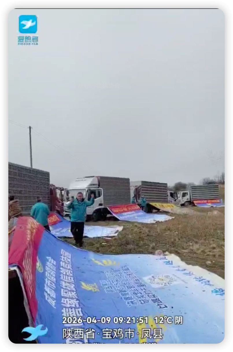 26年春成都市蓉城杯567第一关秦岭站司放视频