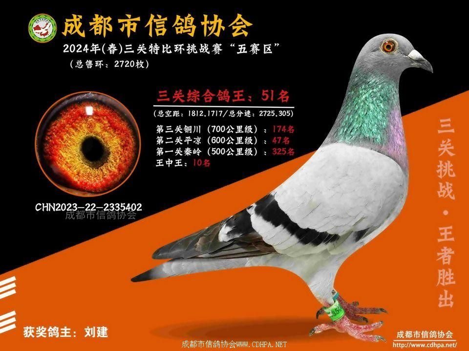 24春五赛区5-6-7百公里三关特比环第51-100名获奖鸽