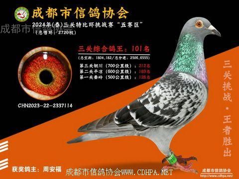 24春五赛区5-6-7百公里三关特比环第101-150名获奖鸽