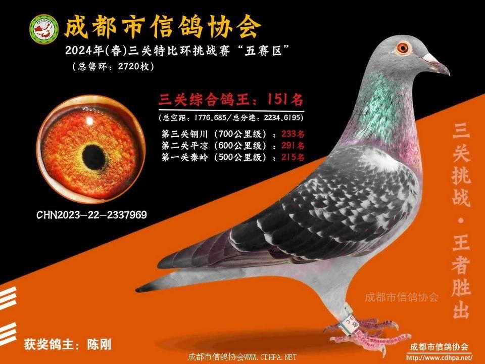 24春五赛区5-6-7百公里三关特比环第151-200名获奖鸽