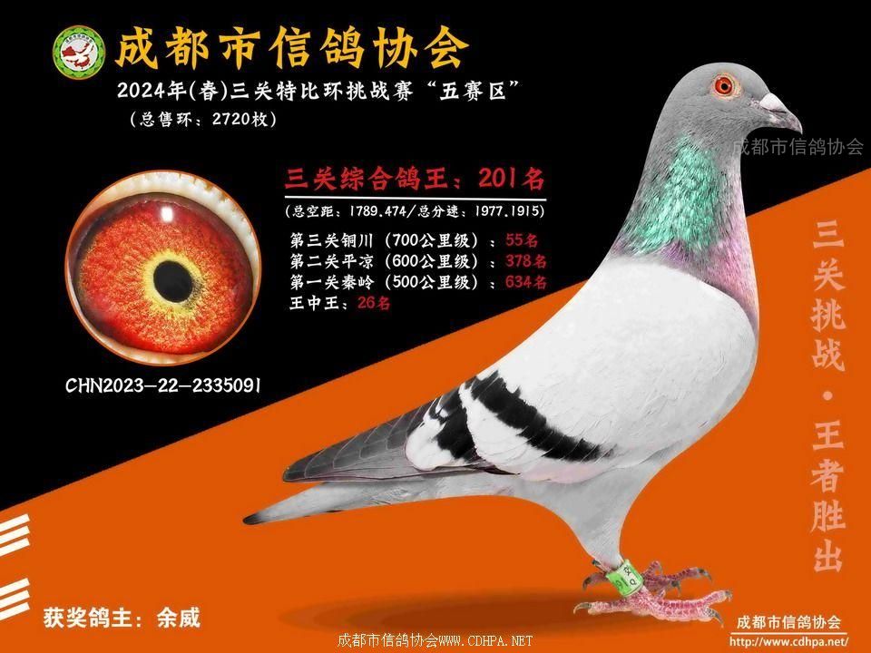 24春五赛区5-6-7百公里三关特比环第201-226名获奖鸽
