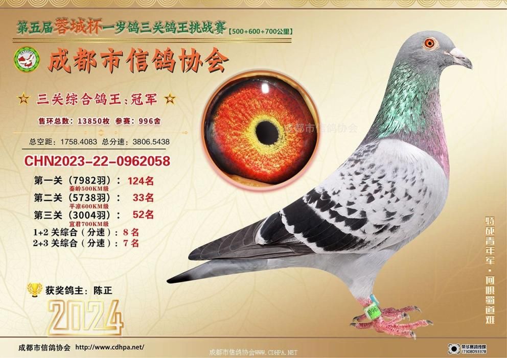 24春蓉城杯5-6-7百公里三关特比环挑战赛冠军-第20名获奖鸽