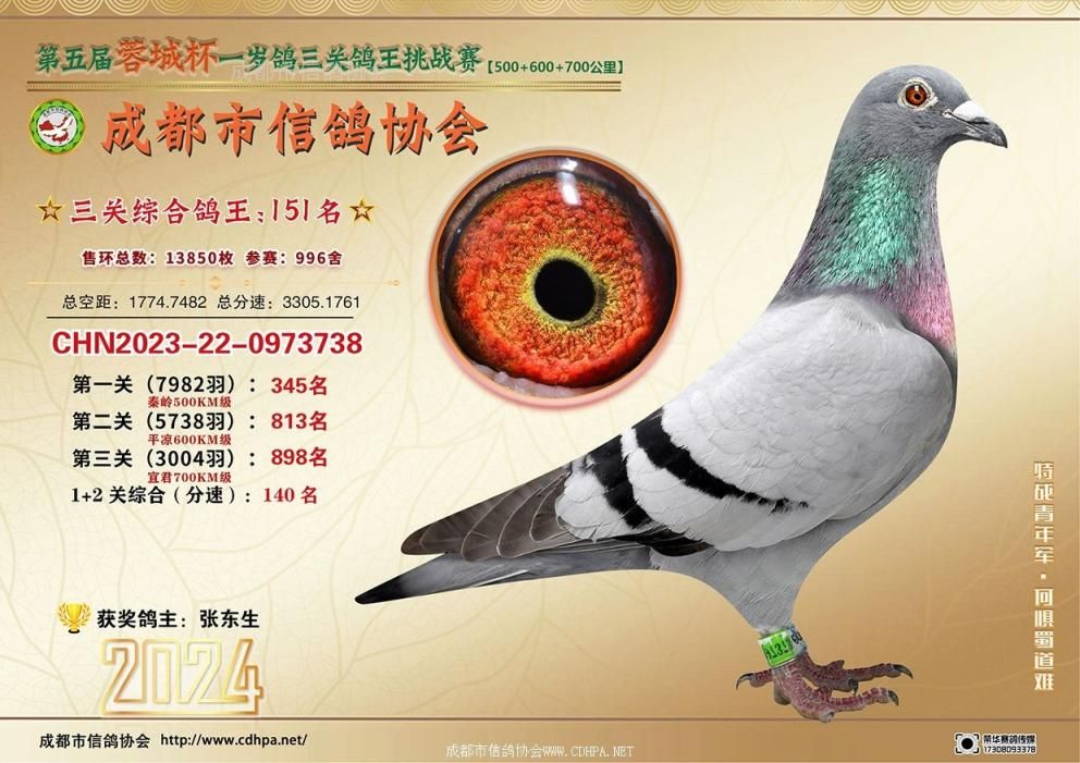 24春蓉城杯5-6-7百公里三关特比环挑战赛第151-200名获奖鸽