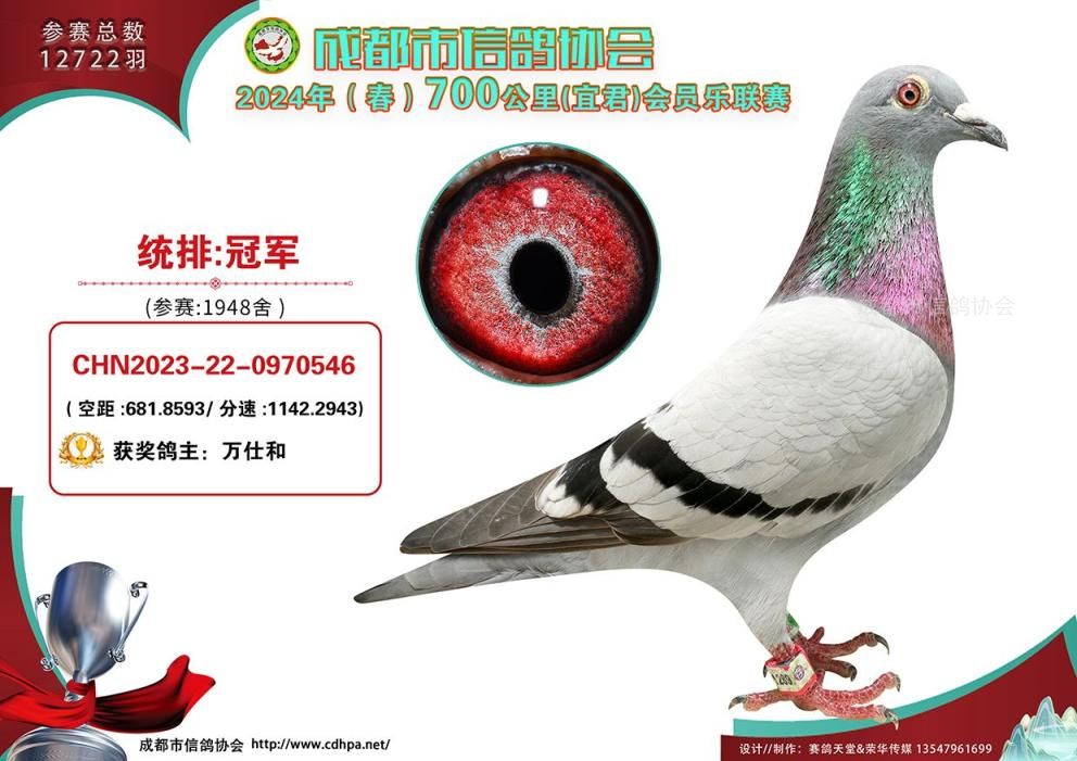 24春成都市700公里联赛宜君站冠军-第20名获奖鸽