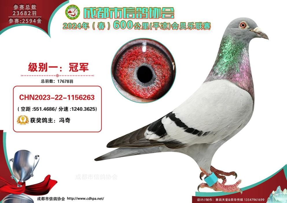 24春成都市600公里平凉联赛级别1冠军-第20名获奖鸽
