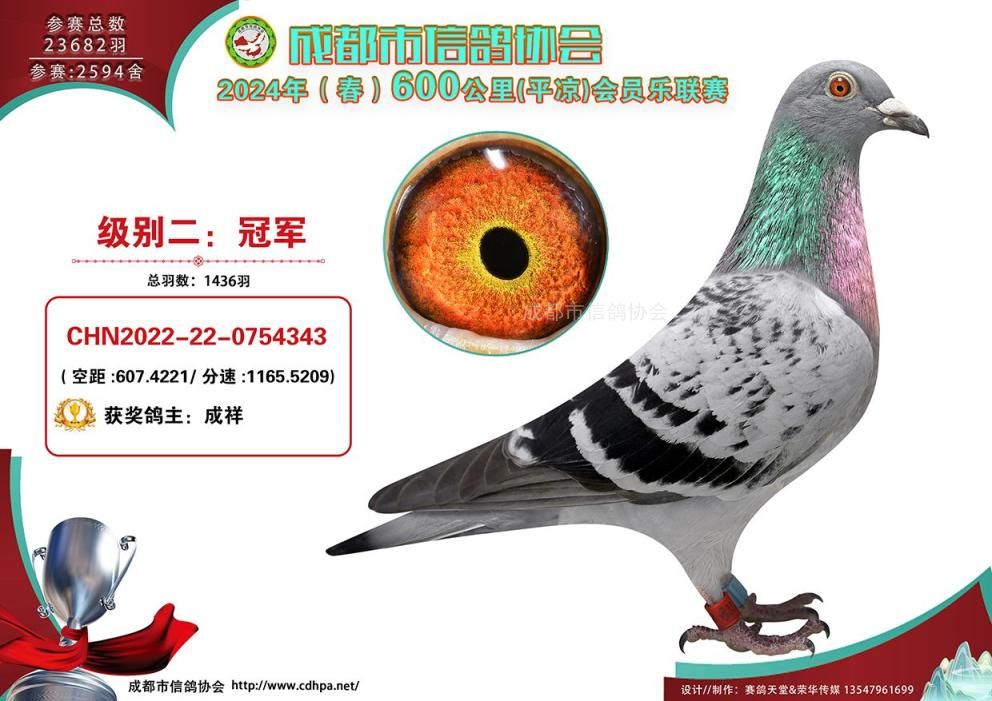 24春成都市600公里平凉联赛级别2前十名获奖鸽