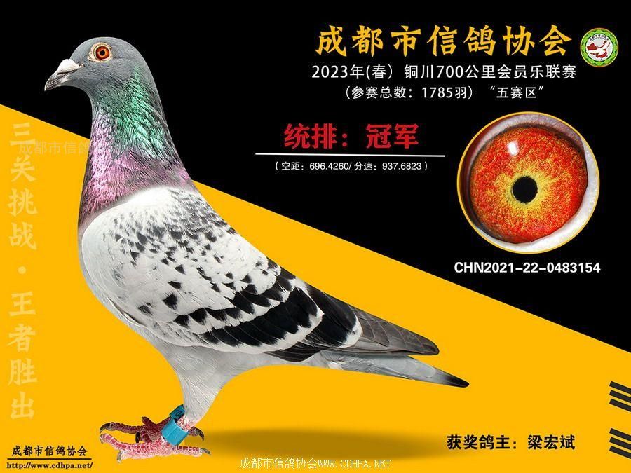 23年春成都市五赛区700公里铜川联赛冠军-第10名获奖鸽照片