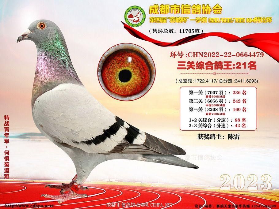 23春成都市蓉城杯第21名-50名获奖鸽照片