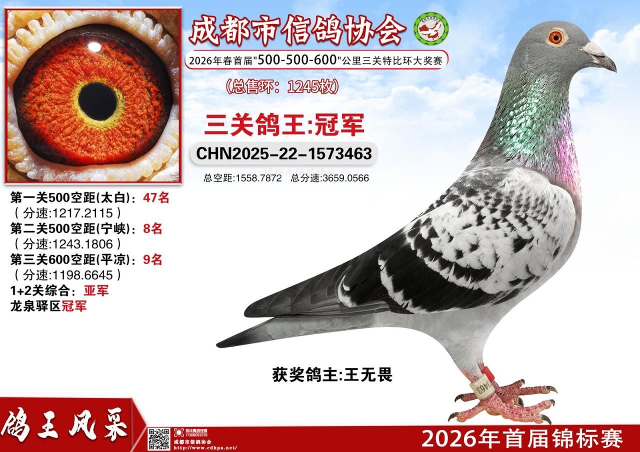   26年春成都市二赛区首届锦标赛556三关特比环赛冠军-20名获奖鸽  
