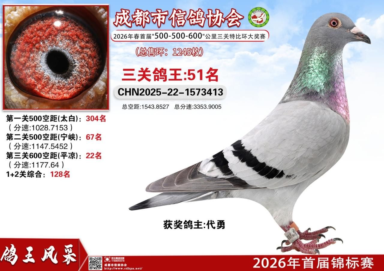 26年春成都市二赛区首届锦标赛556三关特比环赛第51-100名获奖鸽