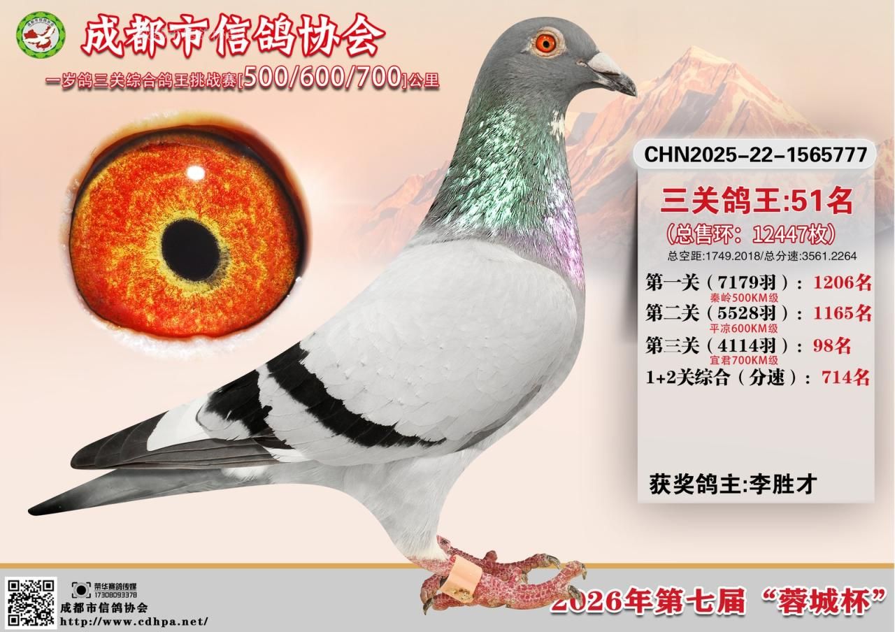 26年春成都市“蓉城杯”5-6-7三关特比环赛第51-100名获奖鸽