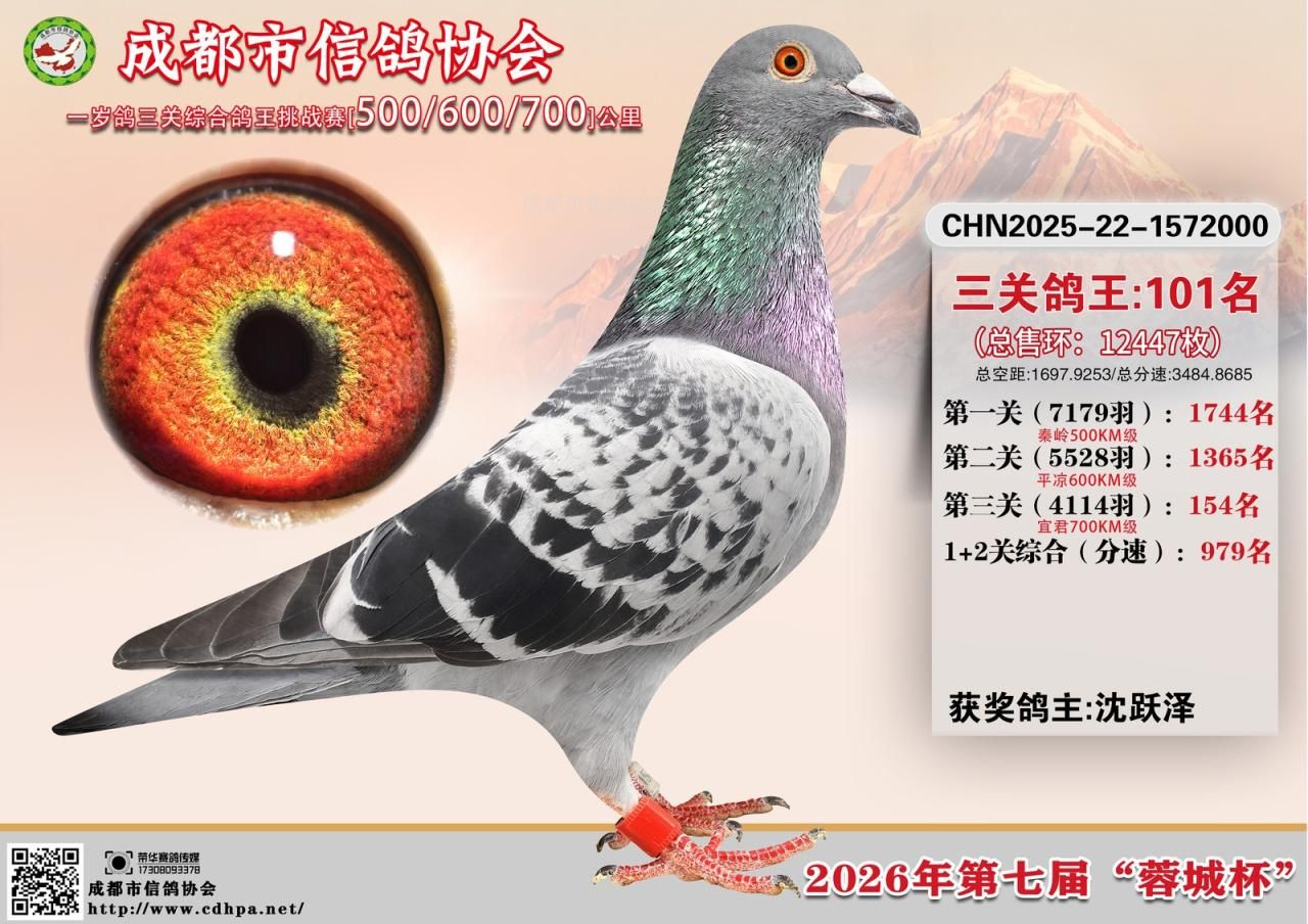 26年春成都市“蓉城杯”5-6-7三关特比环赛第101-150名获奖鸽