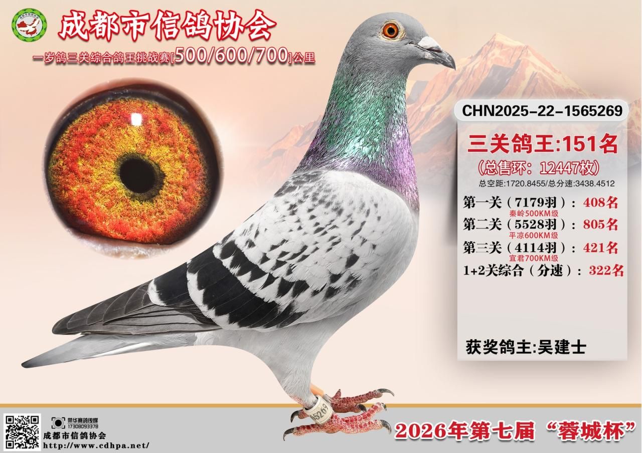 26年春成都市“蓉城杯”5-6-7三关特比环赛第151-200名获奖鸽