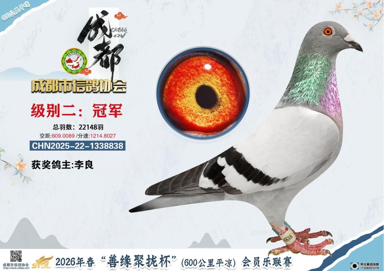 26春成都市“善缘聚拢杯”平凉会员乐联赛级别2前10名获奖鸽