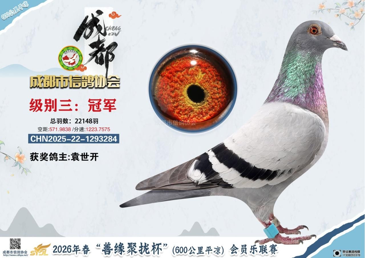 26春成都市“善缘聚拢杯”平凉会员乐联赛级别3前10名获奖鸽
