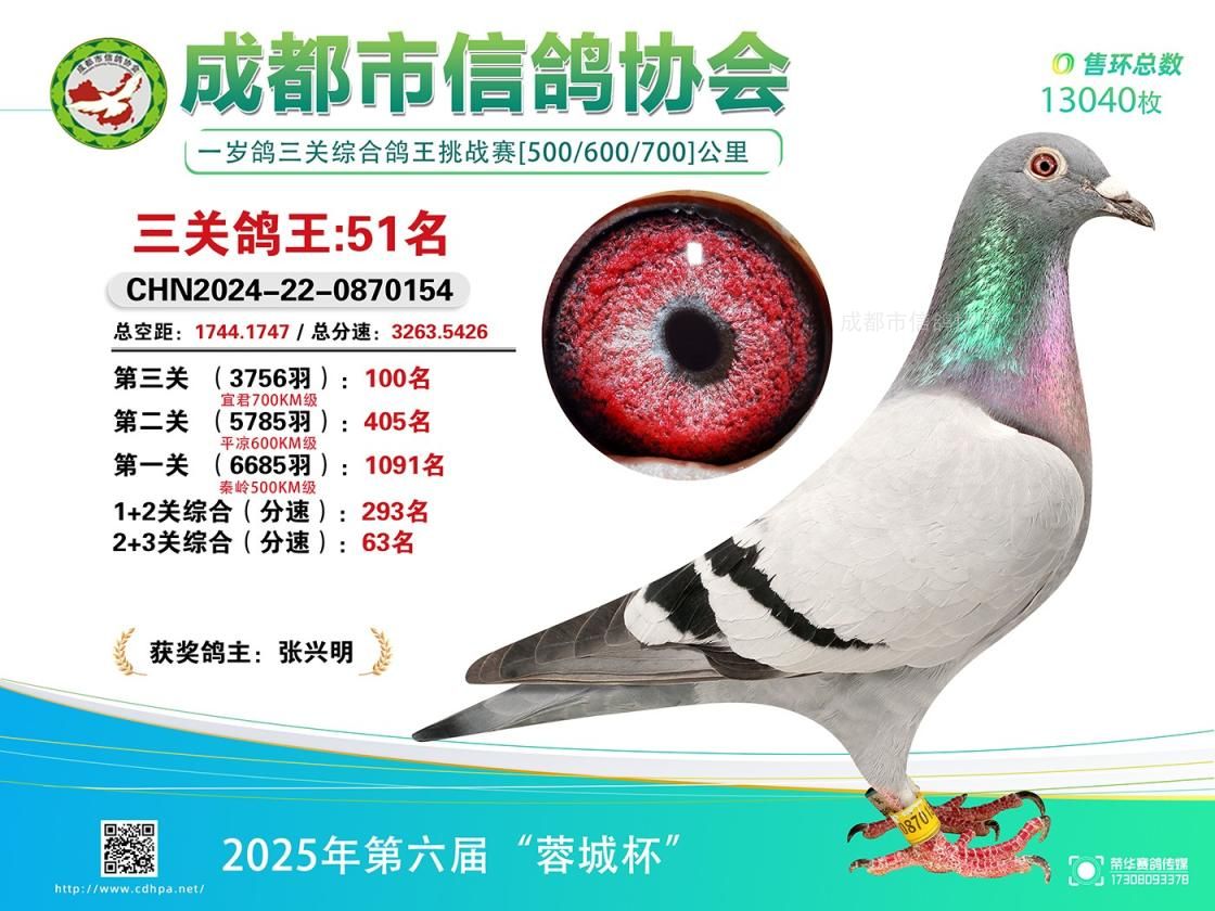25春蓉城杯567百公里三关特比环挑战赛第51-100名获奖鸽照片