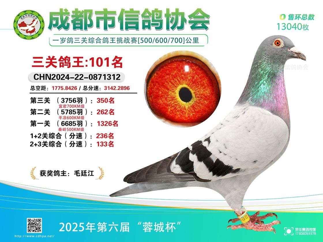 25春蓉城杯567百公里三关特比环挑战赛第101-150名获奖鸽照片