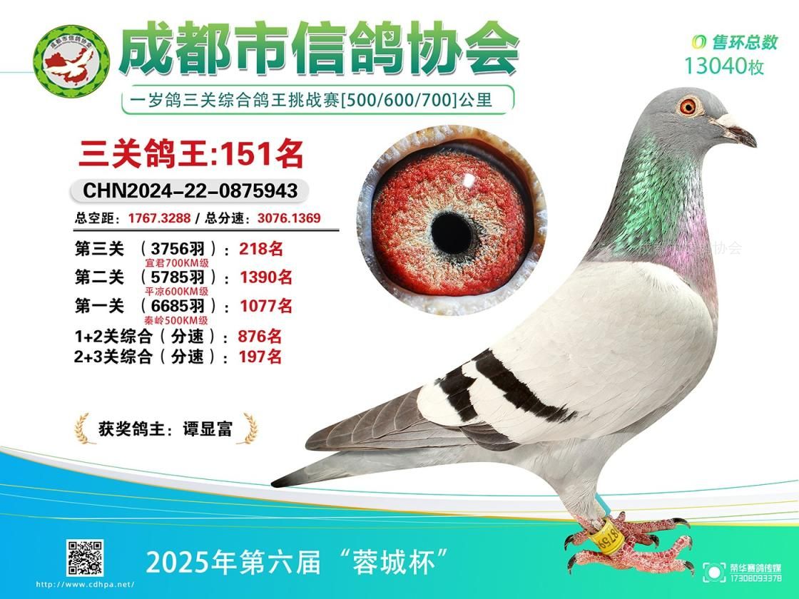 25春蓉城杯567百公里三关特比环挑战赛第151-200名获奖鸽照片
