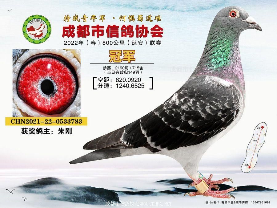 22春800公里联赛冠军-20名当日归获奖鸽照片
