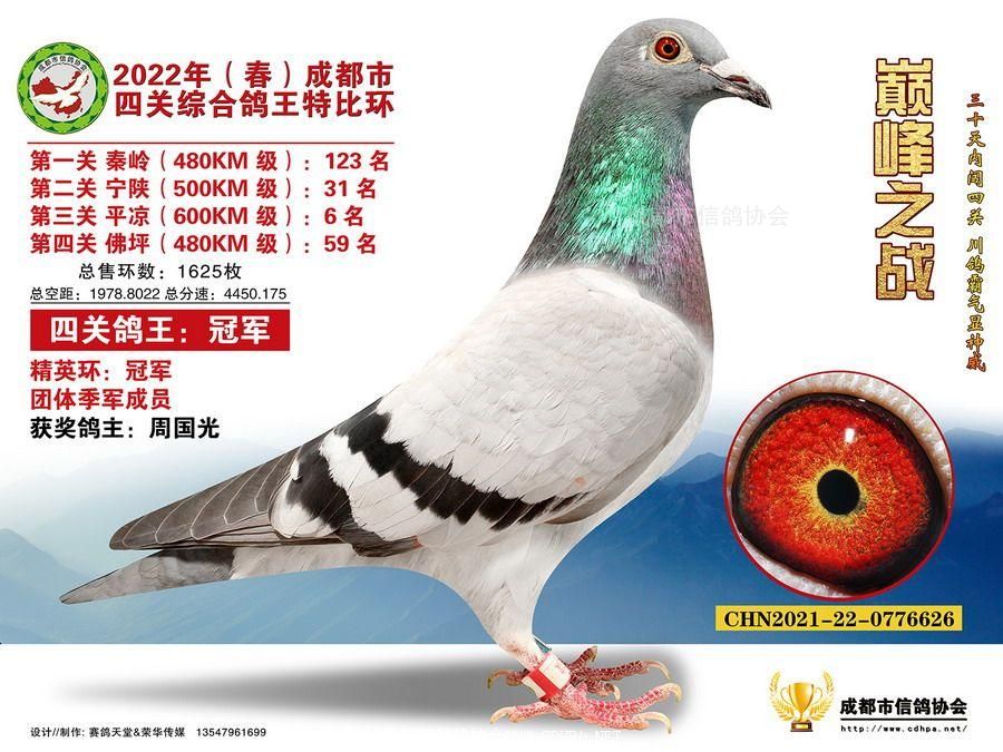 22春四关特比环冠军-20名照片