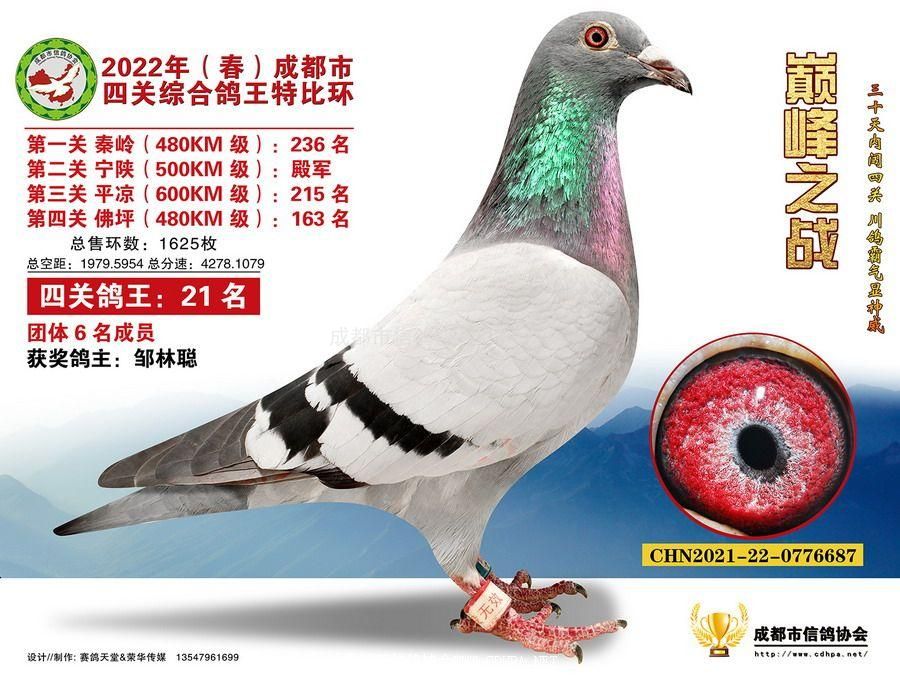 22春四关特比环第21名-50名照片