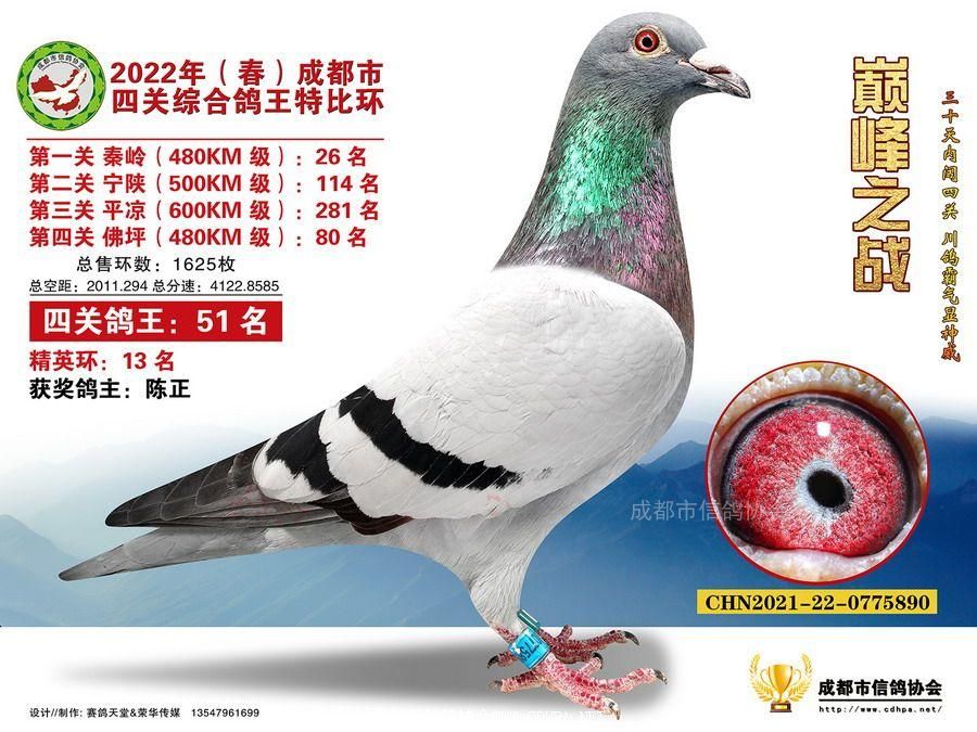 22春四关特比环第51名-70名照片