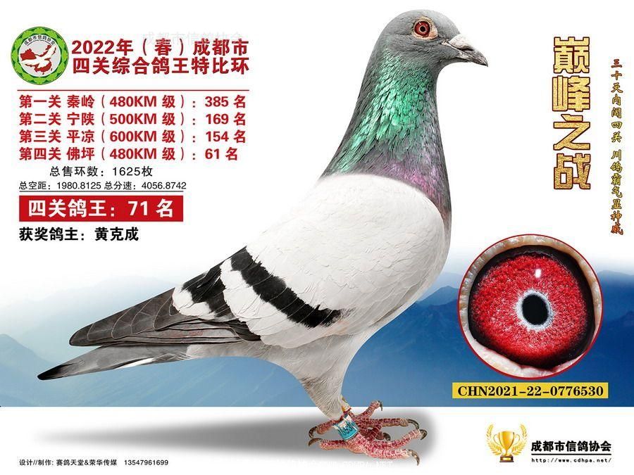 22春四关特比环第71名-100名照片