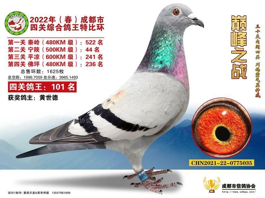 22春四关特比环第101名-141名照片