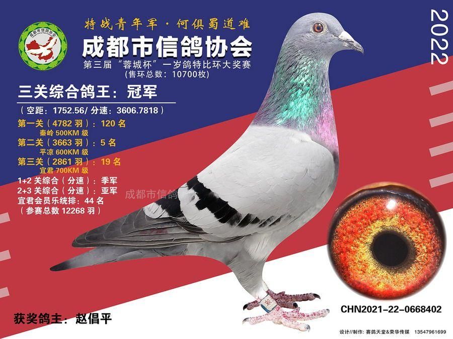 22春蓉城杯冠军-第20名照片