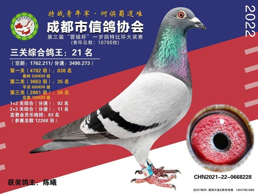 22春蓉城杯第21名-50名照片